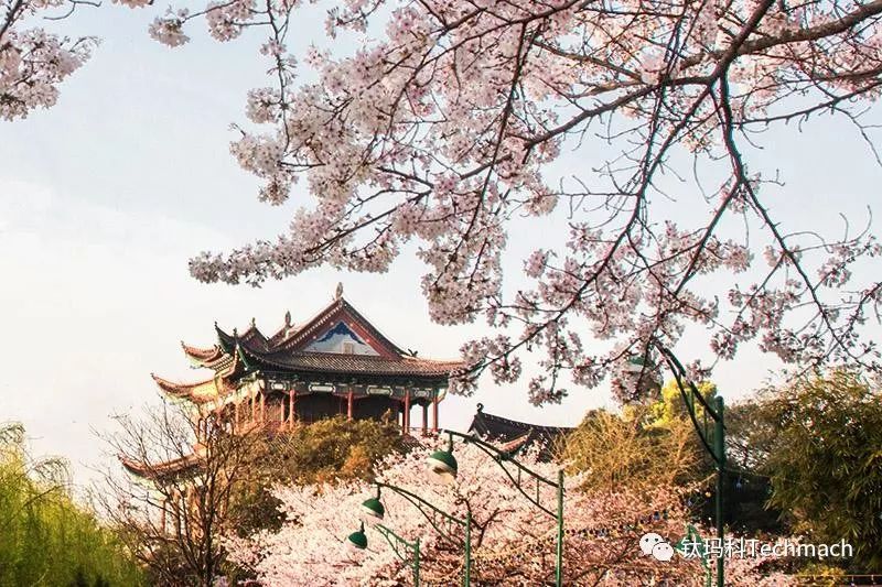 【鈦·想約 】 4月17日武漢CIDPEX2019"紙"引行業(yè)"衛(wèi)"來(lái)